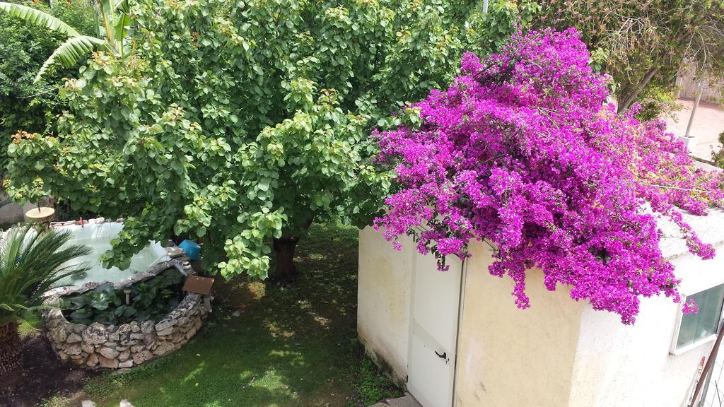 مبيت وإفطار سان كاتالدو Vento Dell'Est المظهر الخارجي الصورة